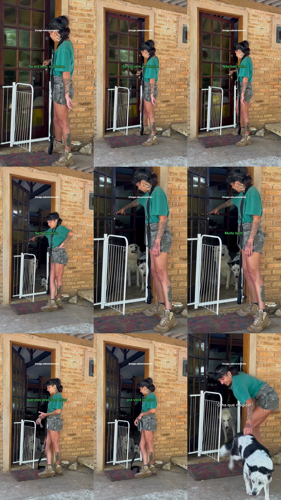 frames do criativo 13