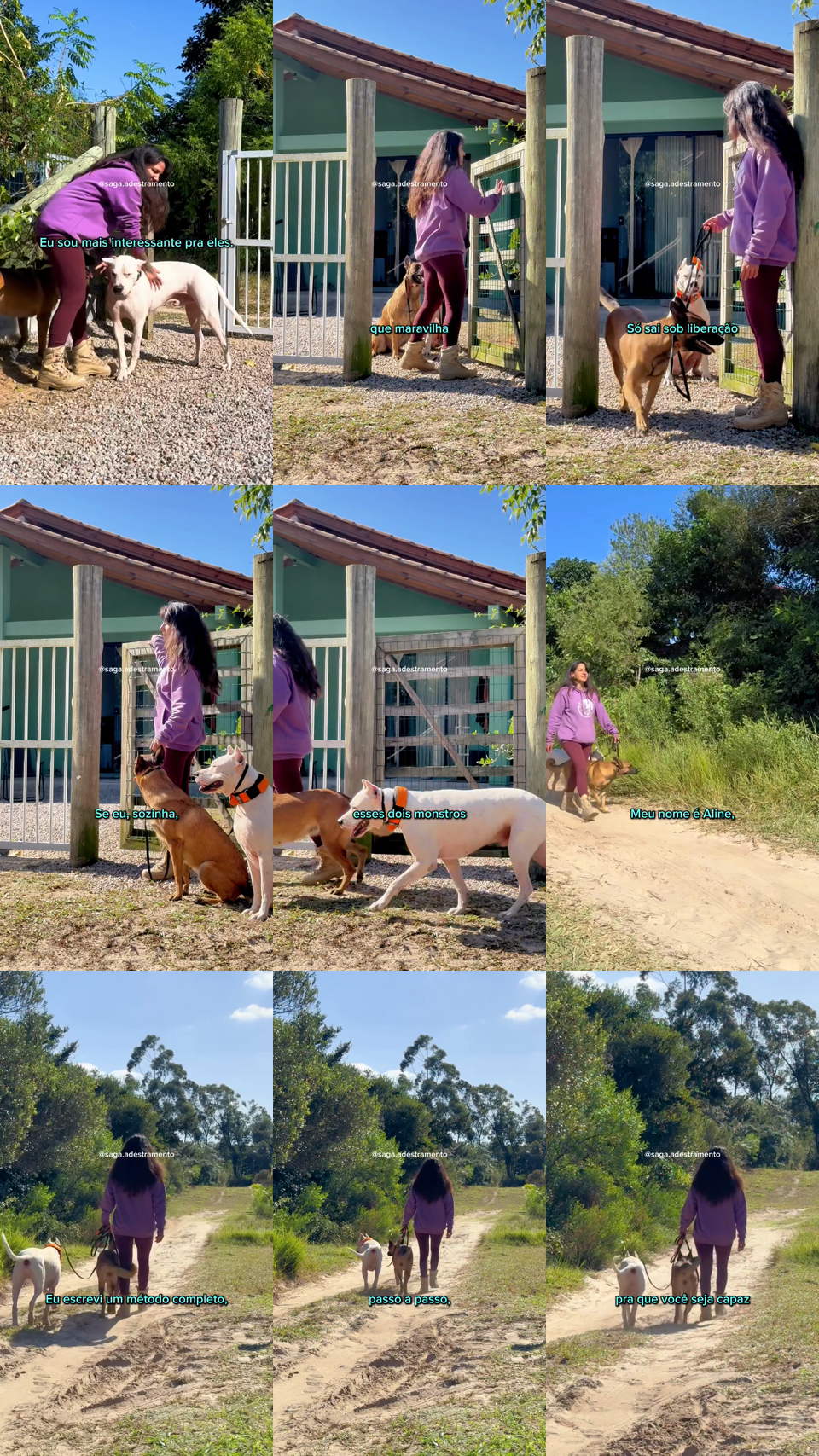 frames do criativo 6