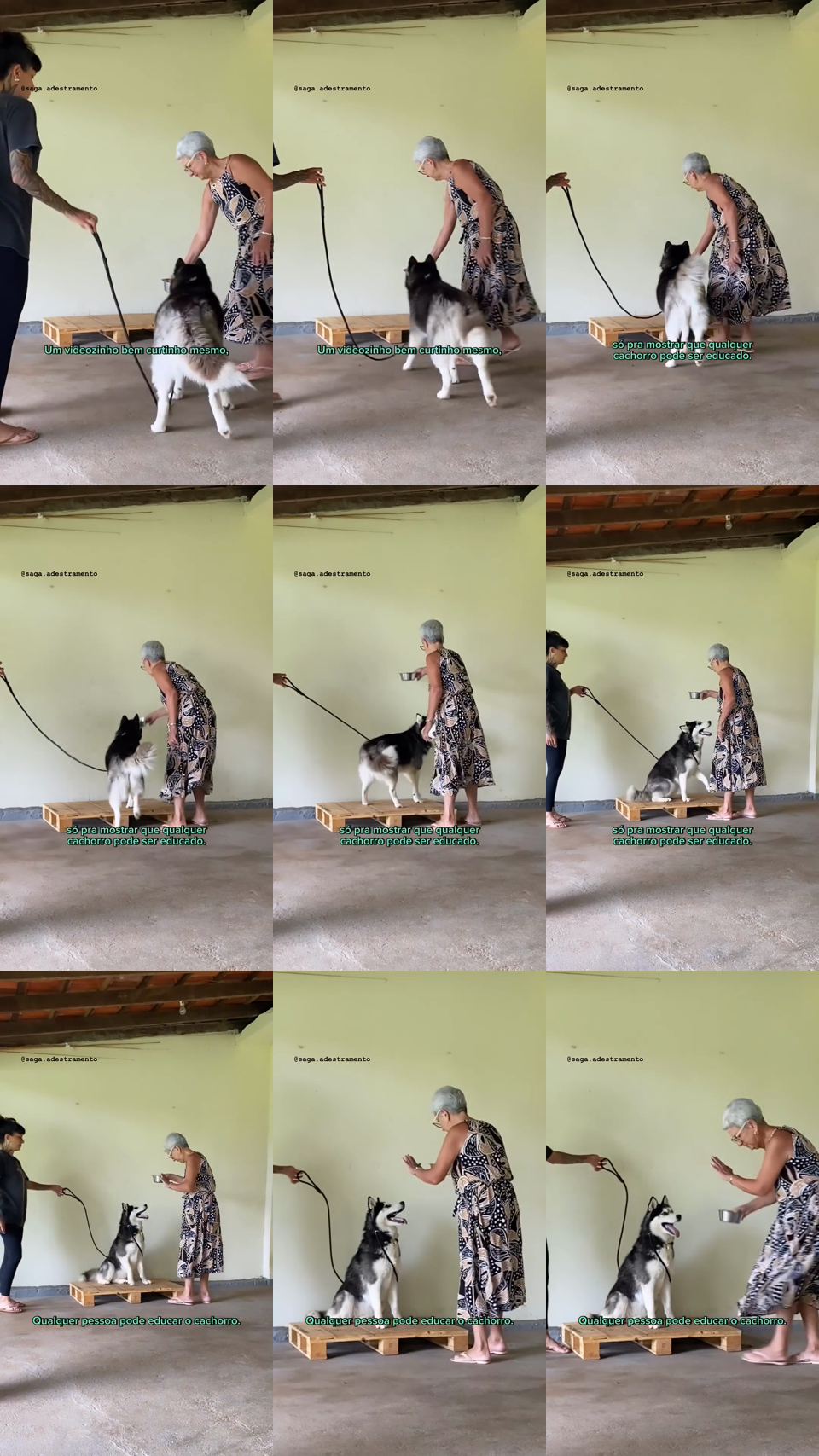 frames do criativo 7