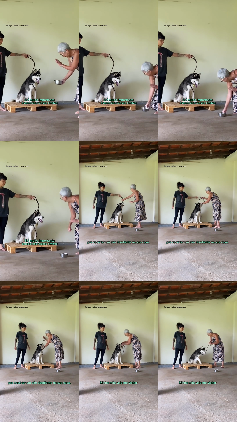 frames do criativo 7