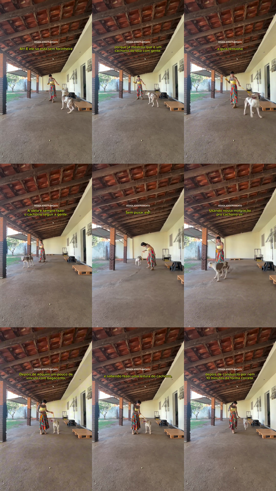 frames do criativo 17