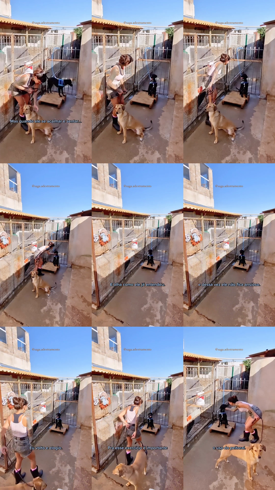 frames do criativo 15