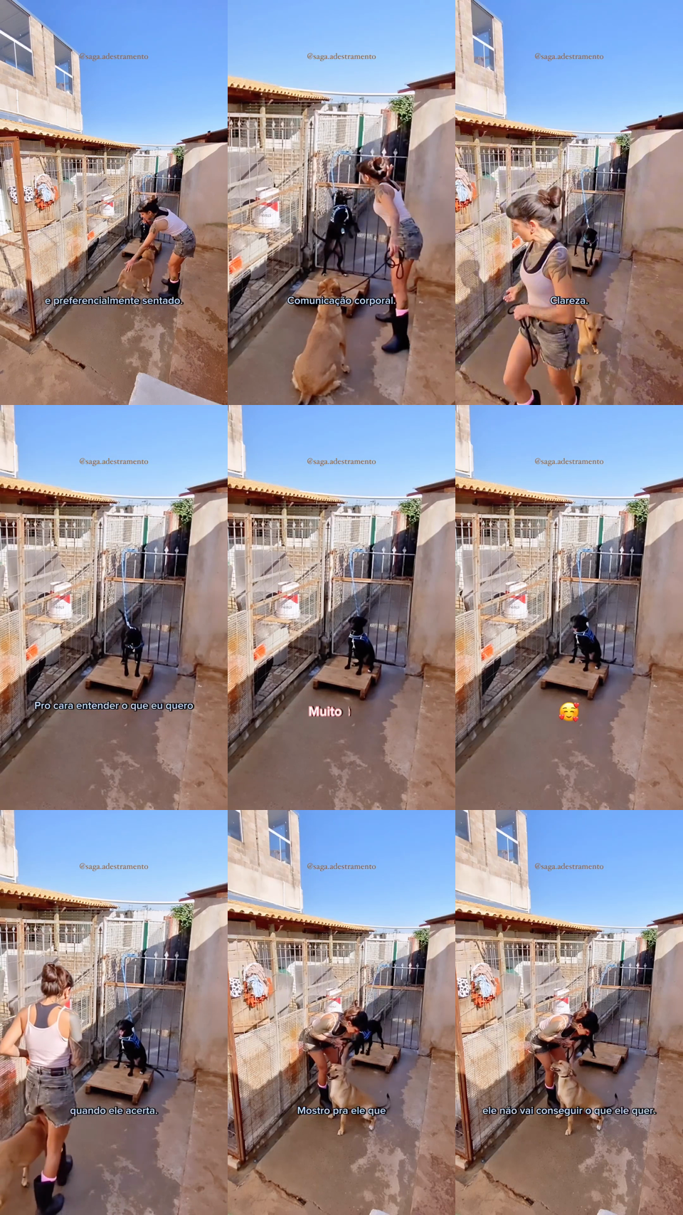 frames do criativo 15