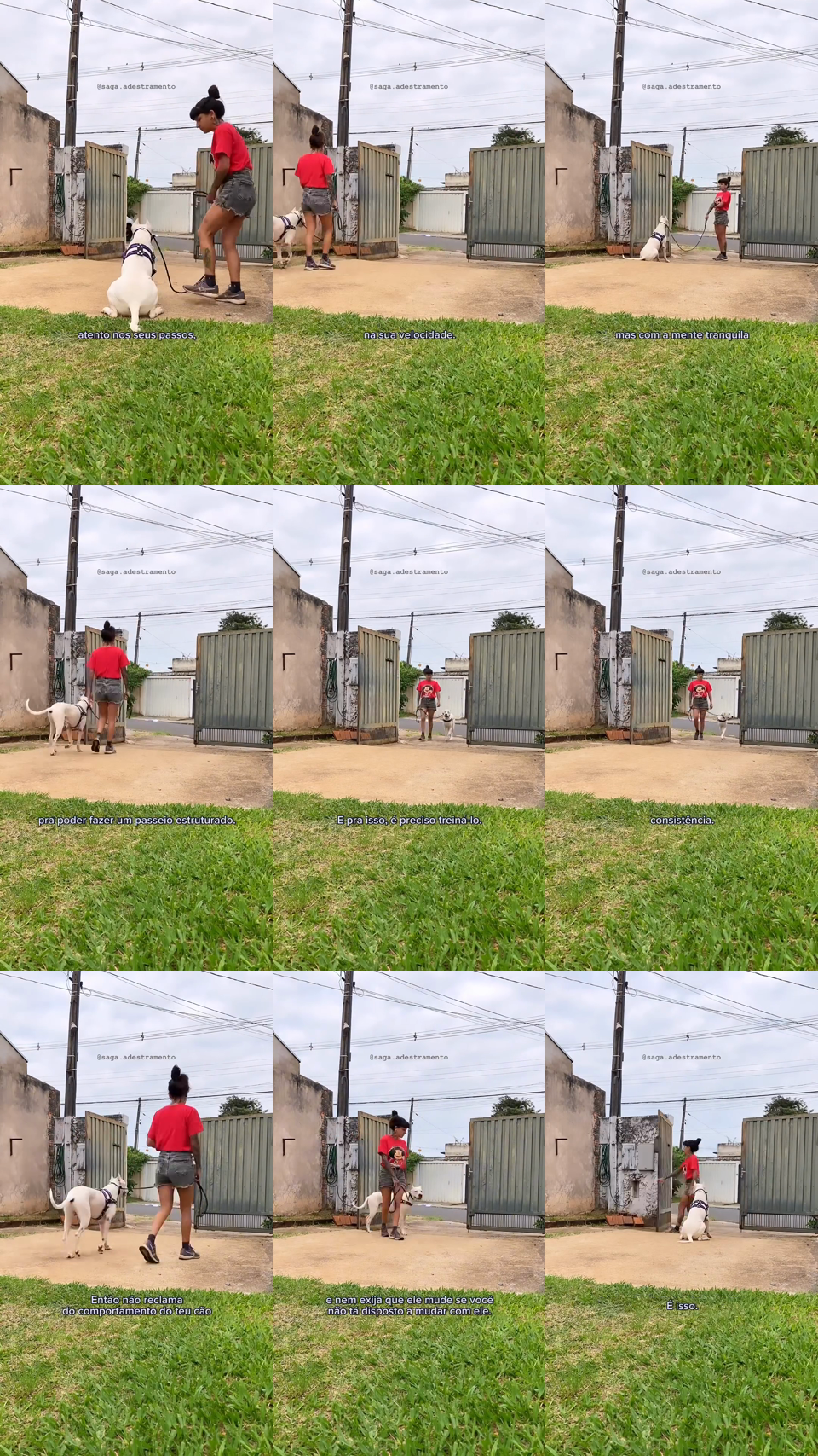 frames do criativo 8