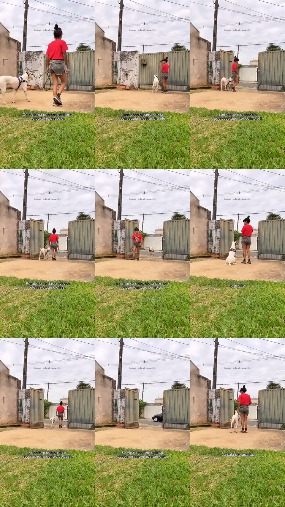 frames do criativo 8