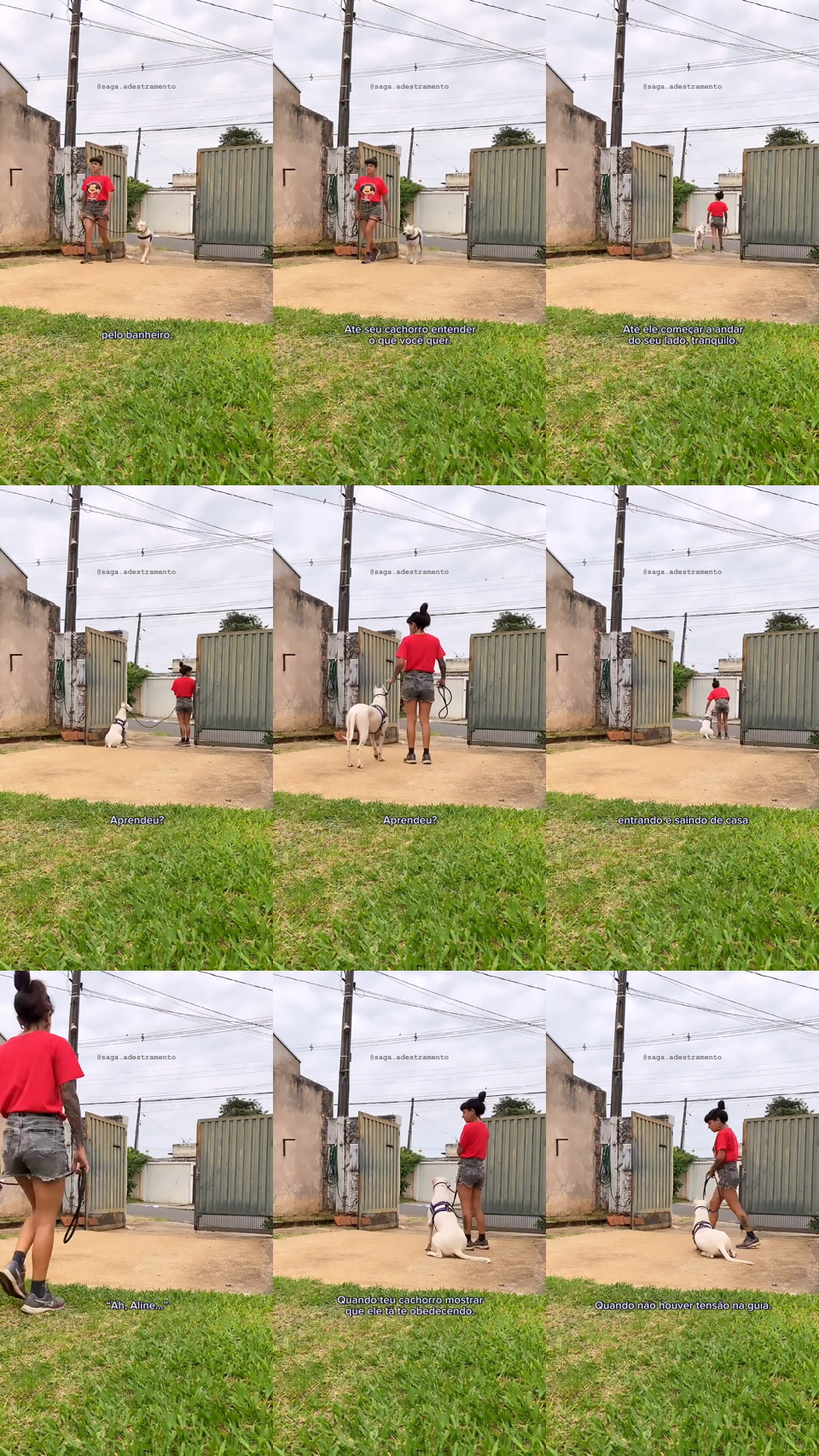 frames do criativo 8