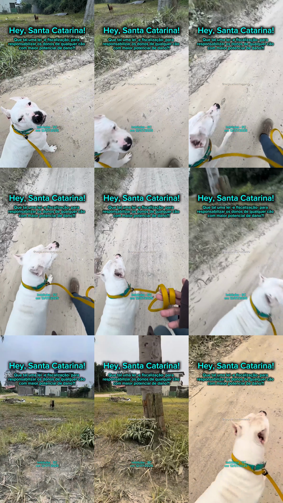 frames do criativo 12