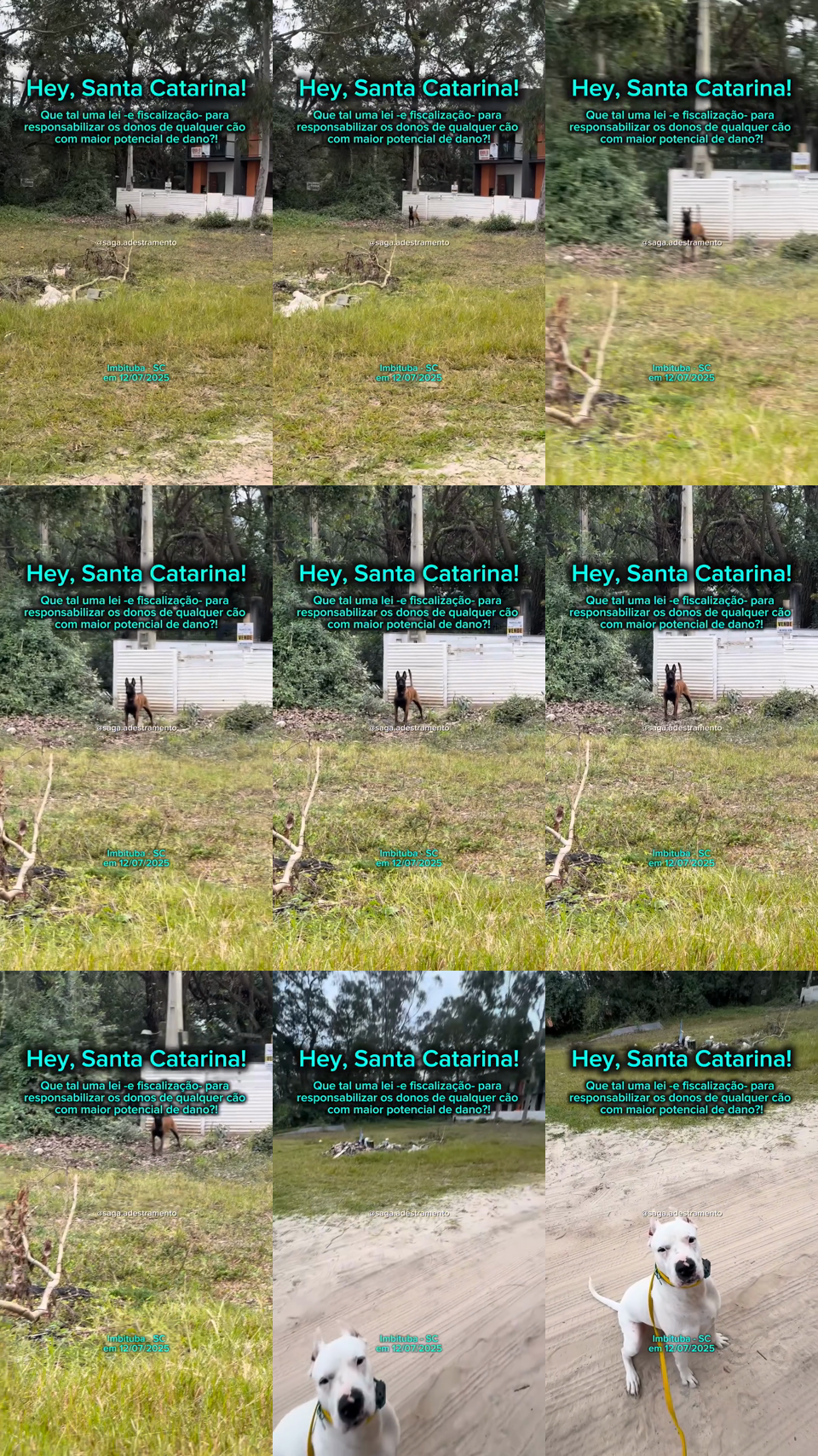 frames do criativo 12