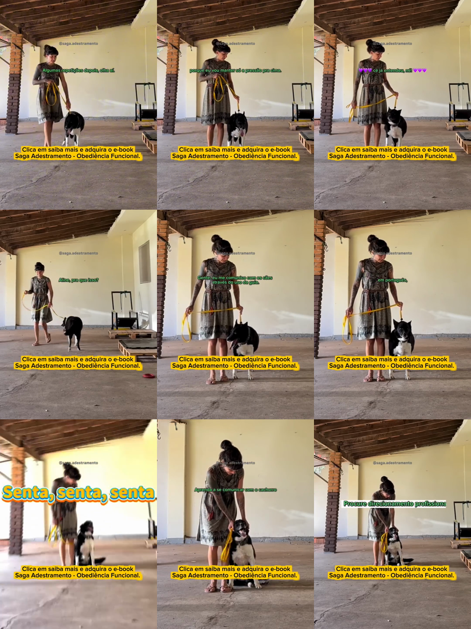 frames do criativo 2