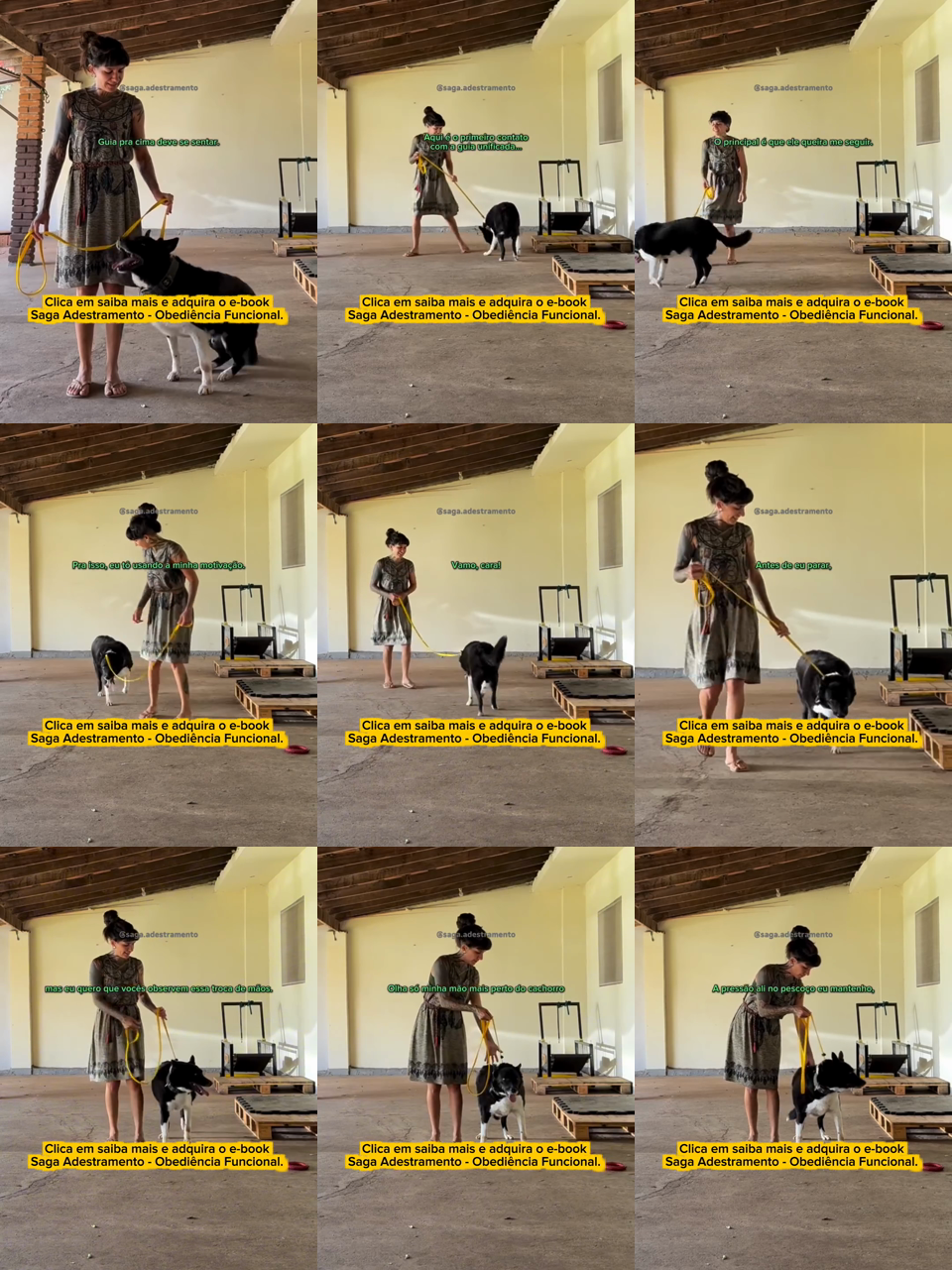 frames do criativo 2