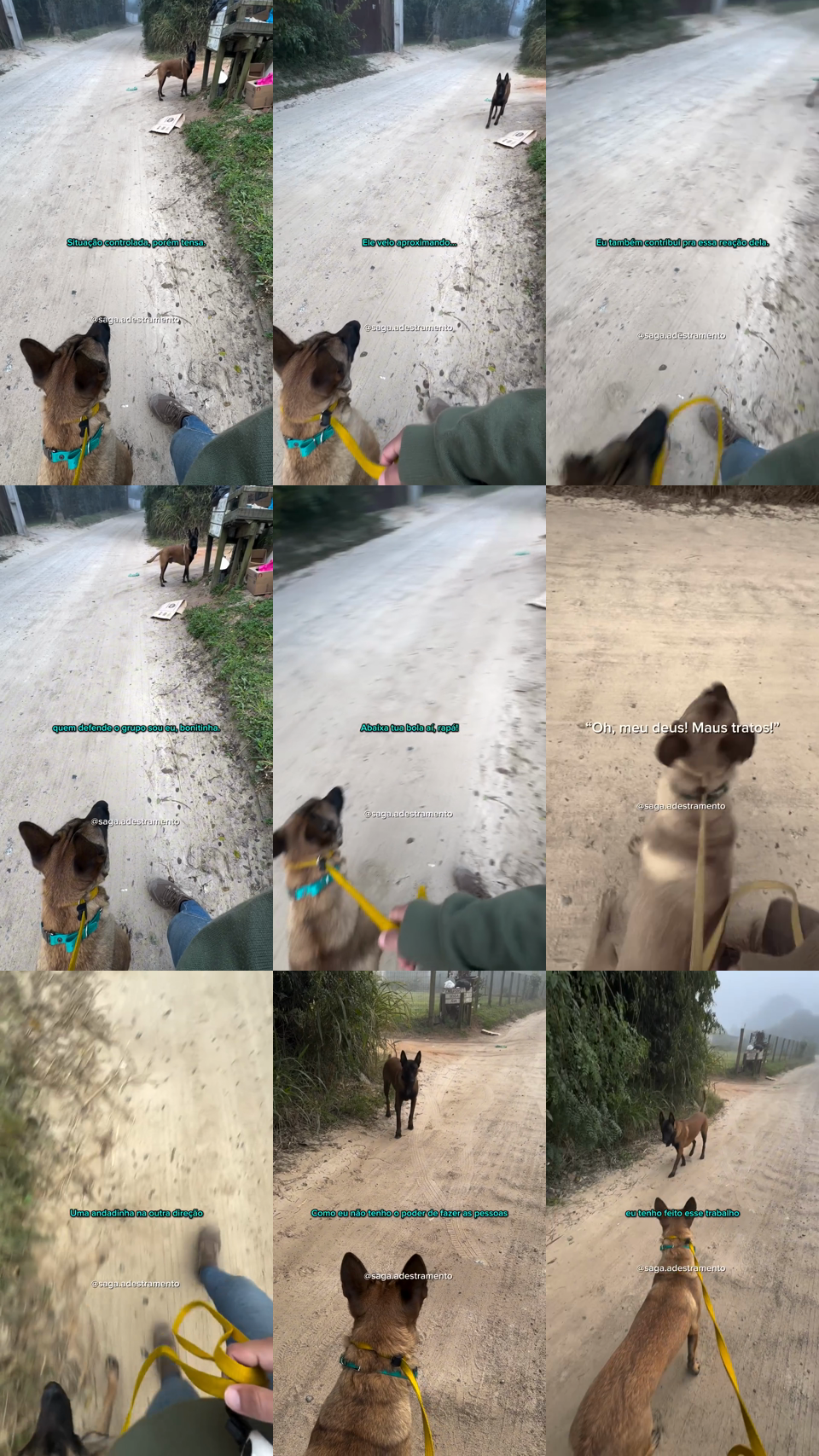 frames do criativo 16