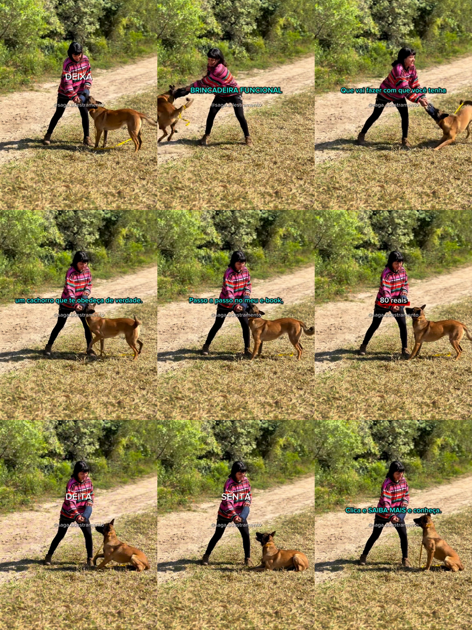 frames do criativo 1