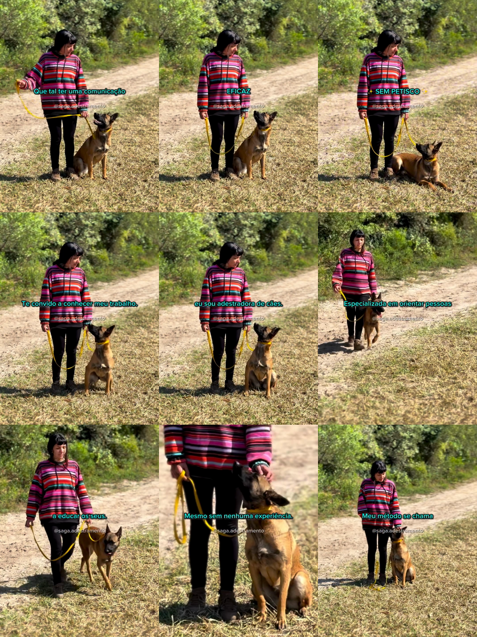 frames do criativo 1