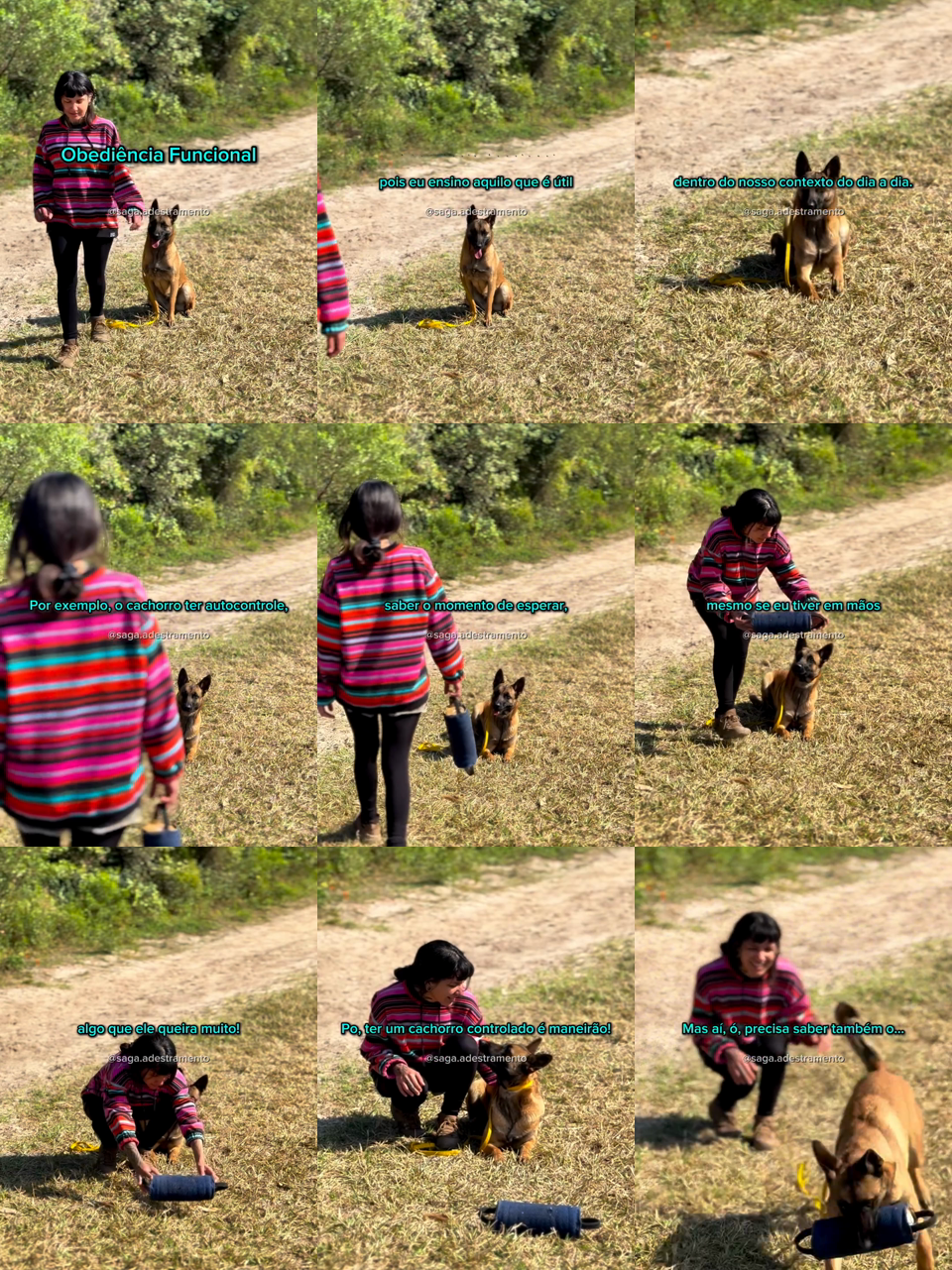 frames do criativo 1