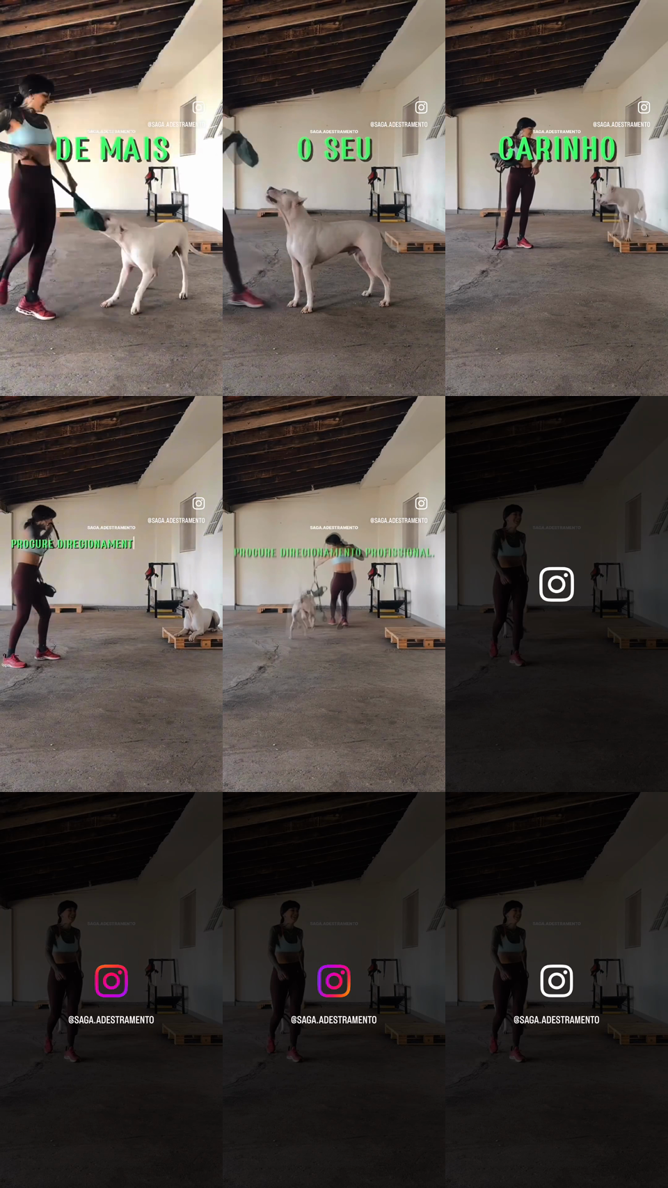 frames do criativo 0