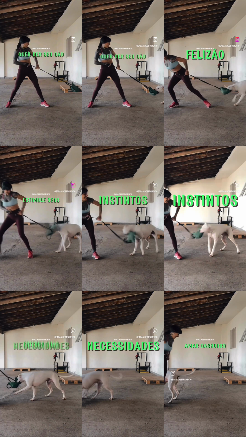 frames do criativo 0