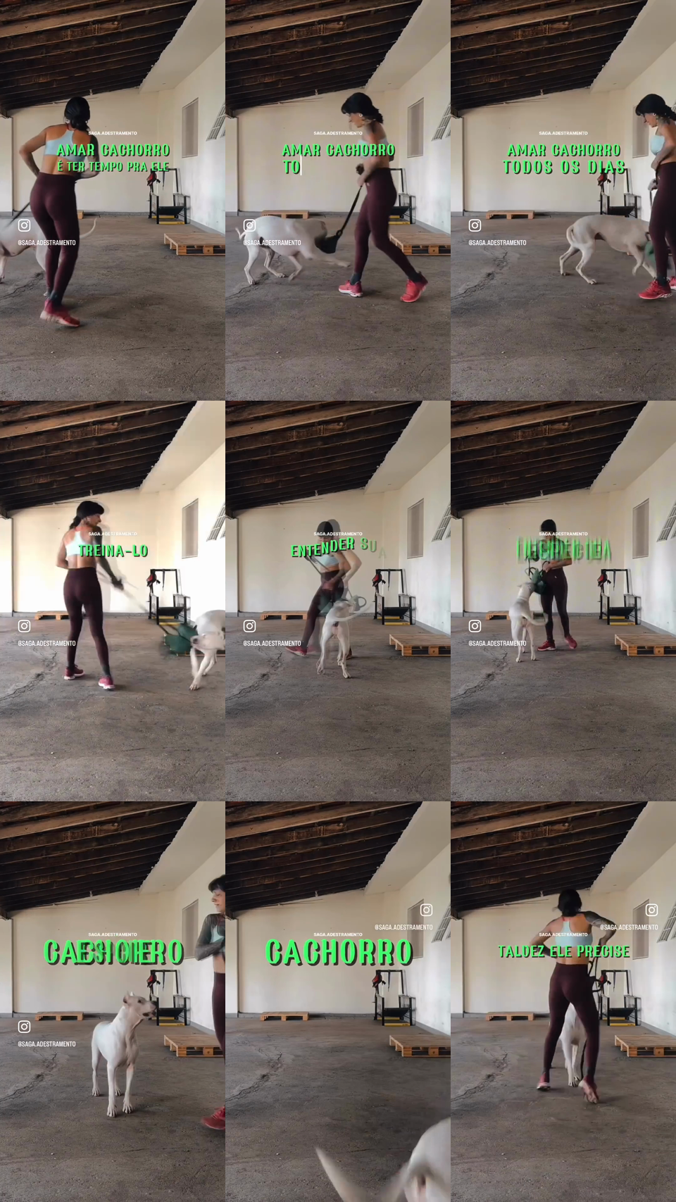 frames do criativo 0