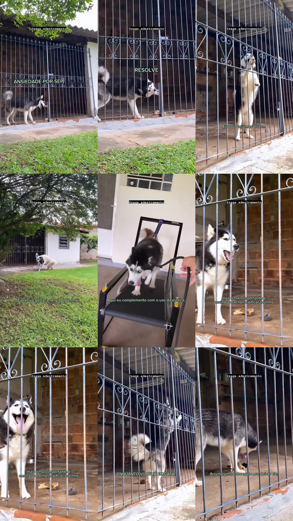 frames do criativo 9