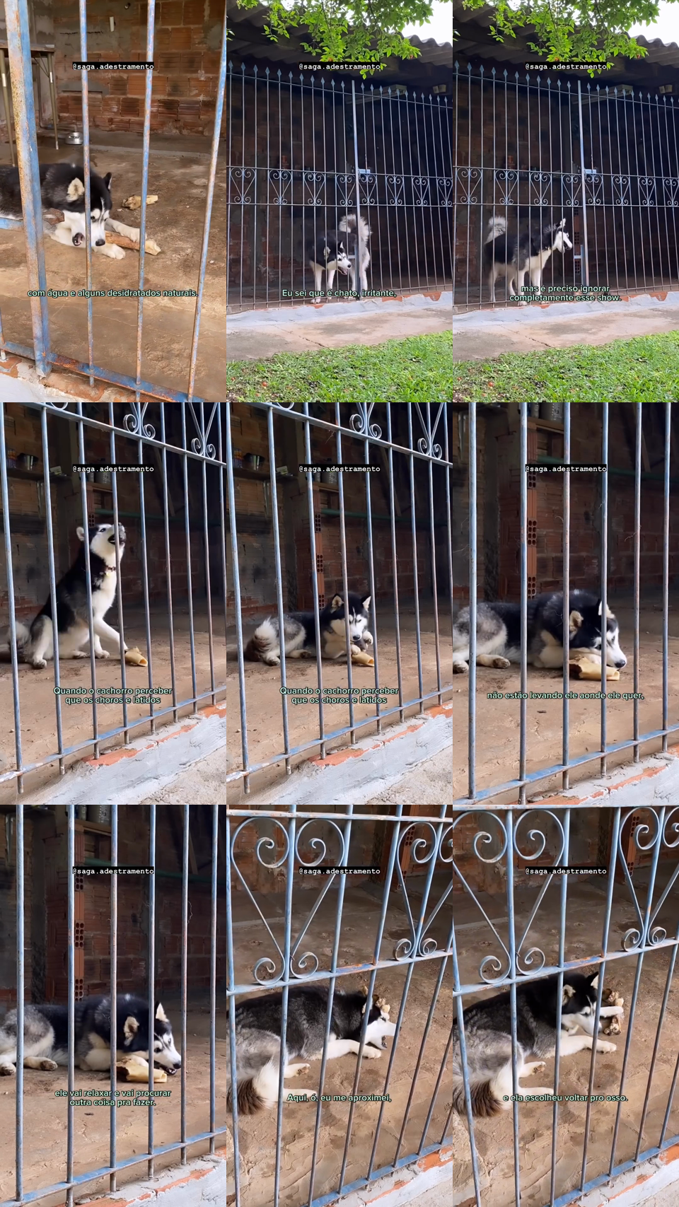 frames do criativo 9