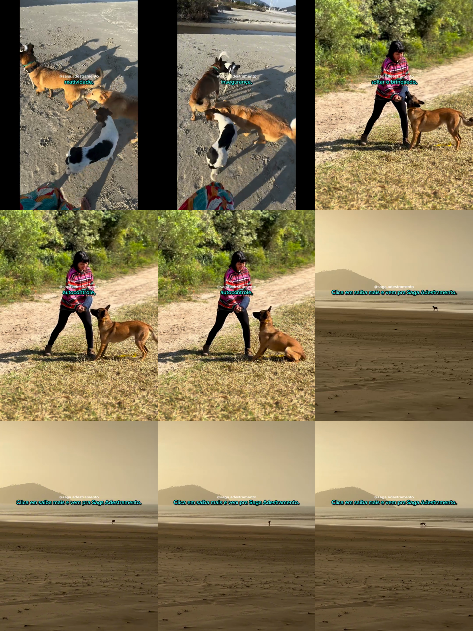 frames do criativo 3