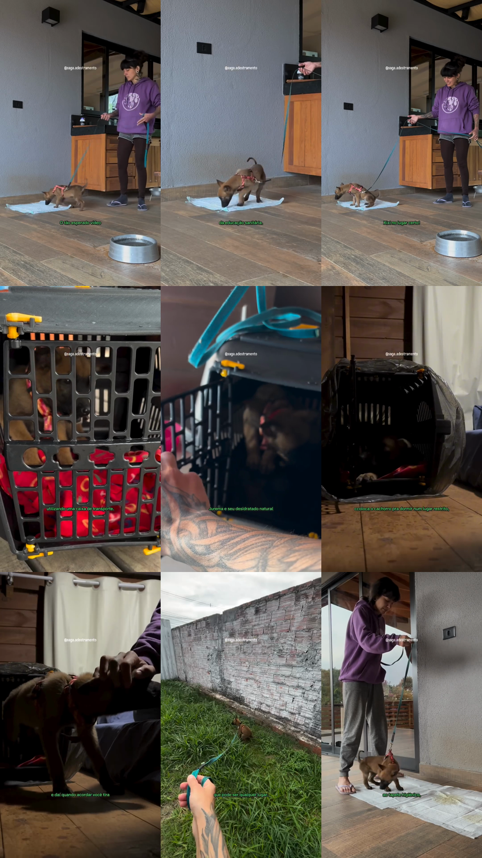 frames do criativo 14