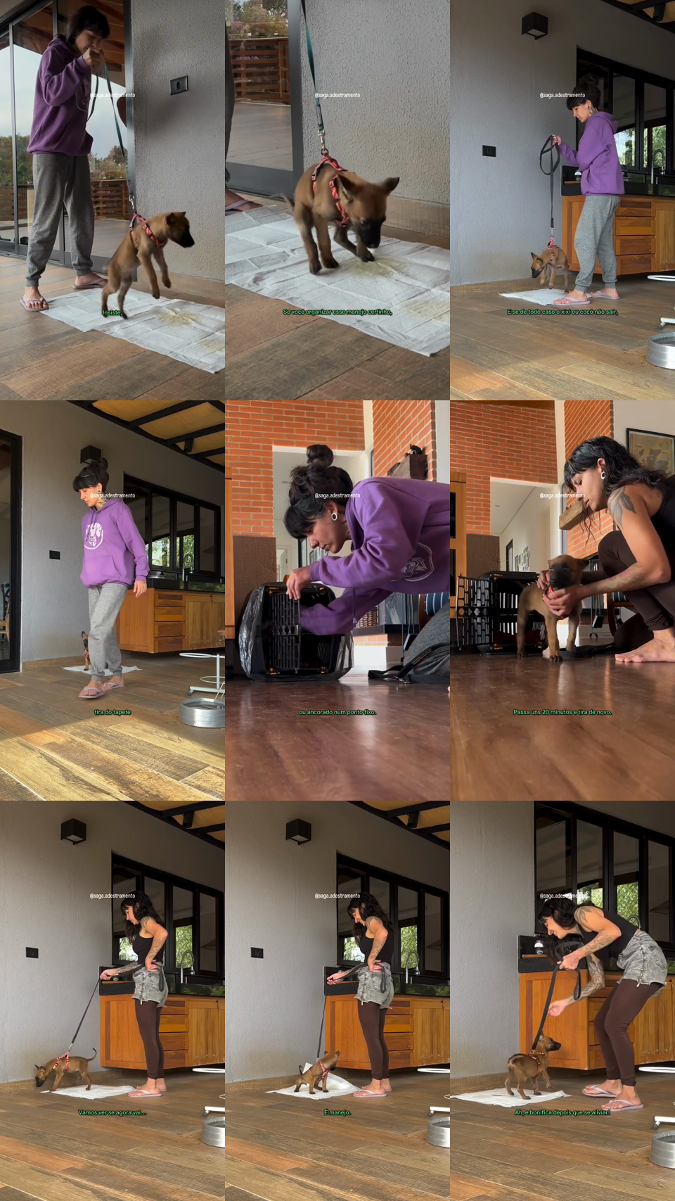 frames do criativo 14